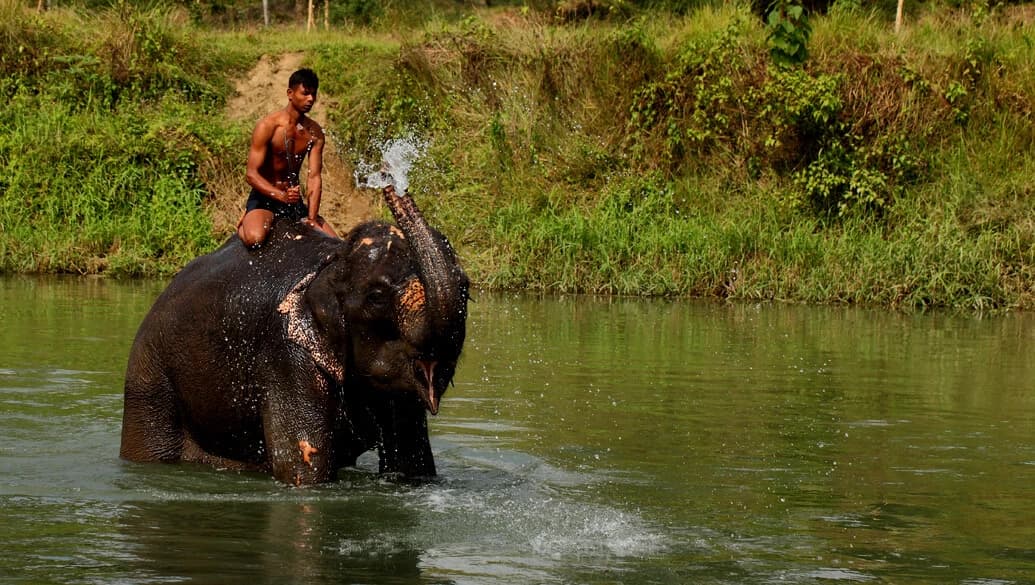 Chitwan Jungle Safari