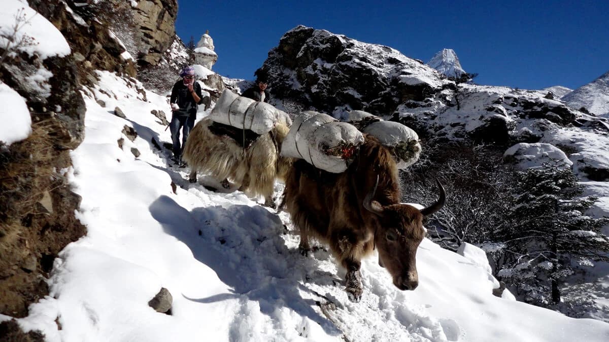 Everest Base Camp Trek Route Map