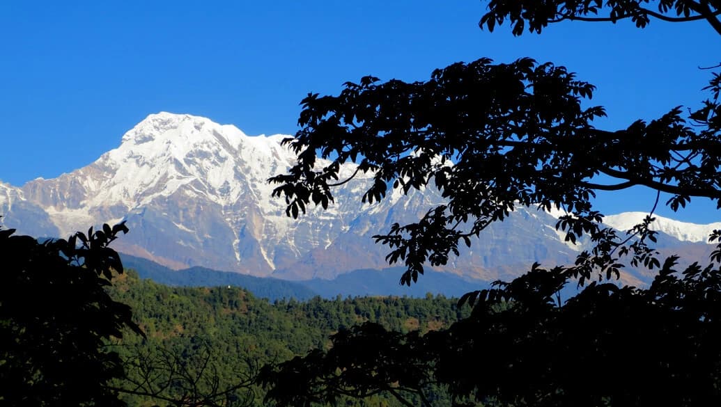 Mohare Danda Trek