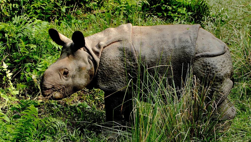 Nepal Tour Package