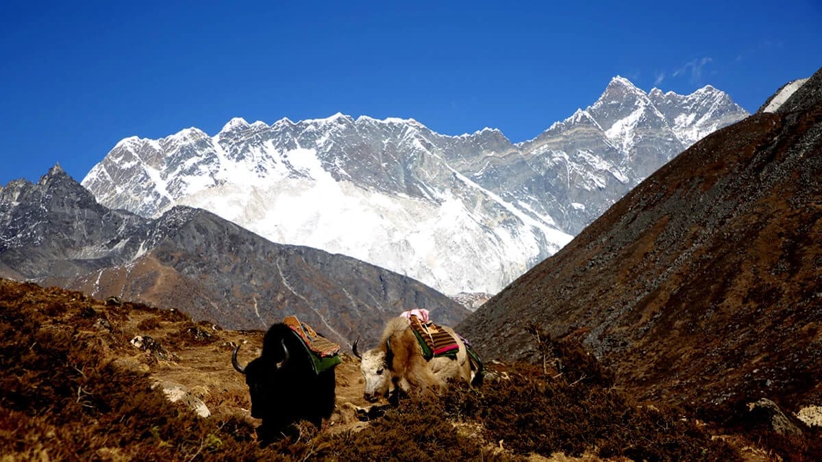 Everest Base Camp Compare Kala Patthar