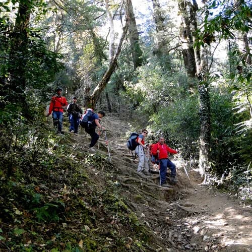 Chisapani Nagarkot Hiking