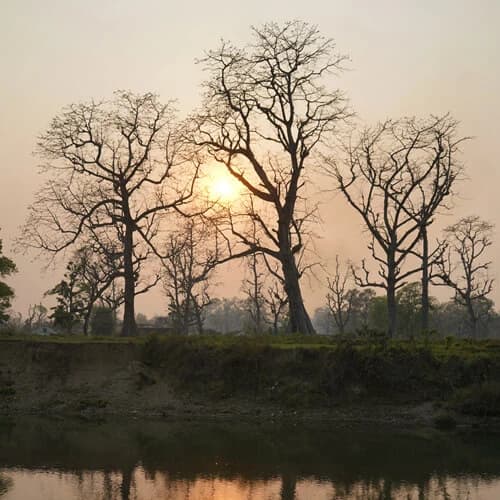 Chitwan Jungle Safari