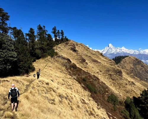 Mohare Danda Trek3