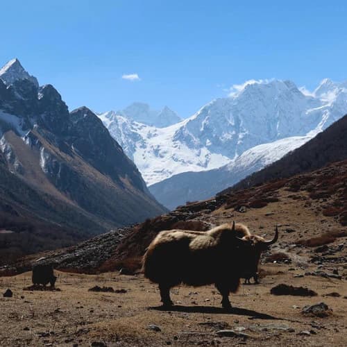Manaslu Trek 12 Days