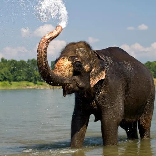 Nepal Luxury Escape Tour