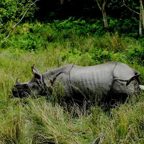 Nepal View Tour