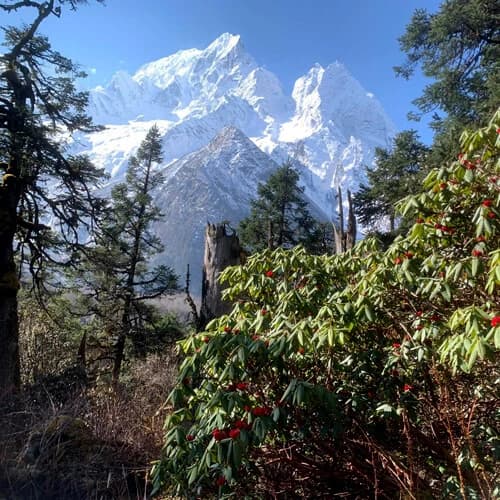 Tsum Valley Trek