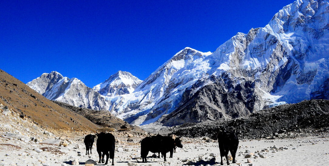 Everest Base Camp 14 Days Itinerary